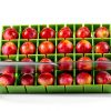 Grapes Cherry Tomatoes Cutter Yamteck 16 Piece Half Quarter Knife-5