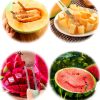 Watermelon Cutter 3 in 1 IURRDOP Stainless Steel Fruit Slicer Green-6